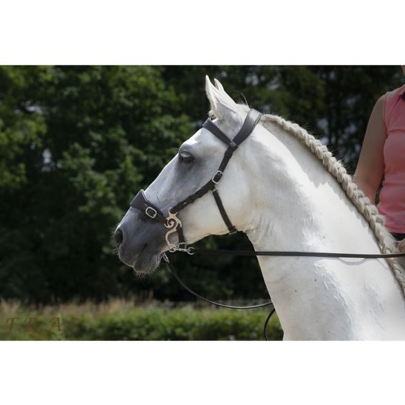 Uzdečka s hackamore F.R.A. Fiore