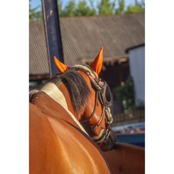 Ochrana očí Equick eVysor