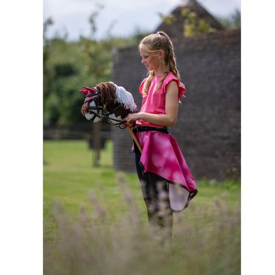 Hobby Horse QHP