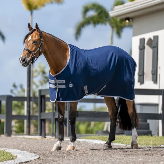 Deka lehká stájová Horseware Amigo