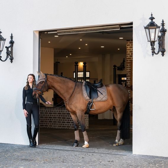 Kamaše Eskadron Platinum Pro Dressage přední Kolekce 2025