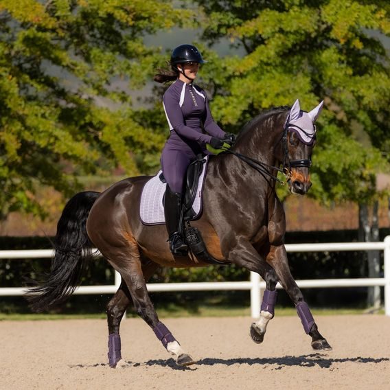 Podsedlová dečka LeMieux Suede Square Lilac Kolekce 2025/26