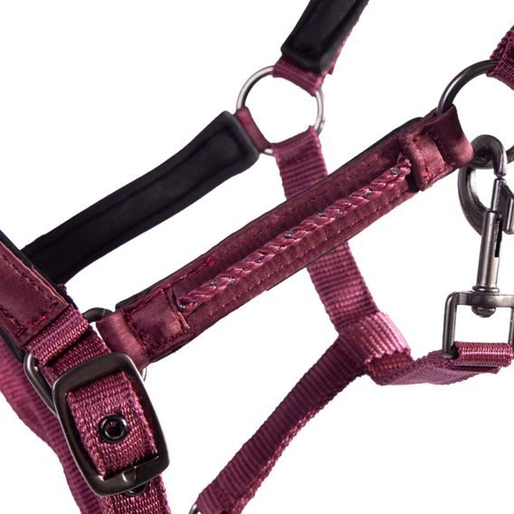 Ohlávka hříběcí QHP Lily