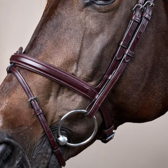 Uzdečka Dy'on Flash Noseband Bridle NEAAAA