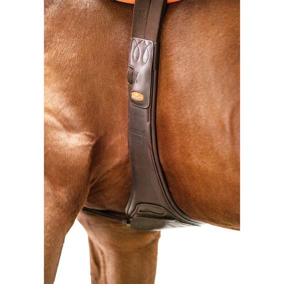 Podbřišník Schockemöhle Portland kožený