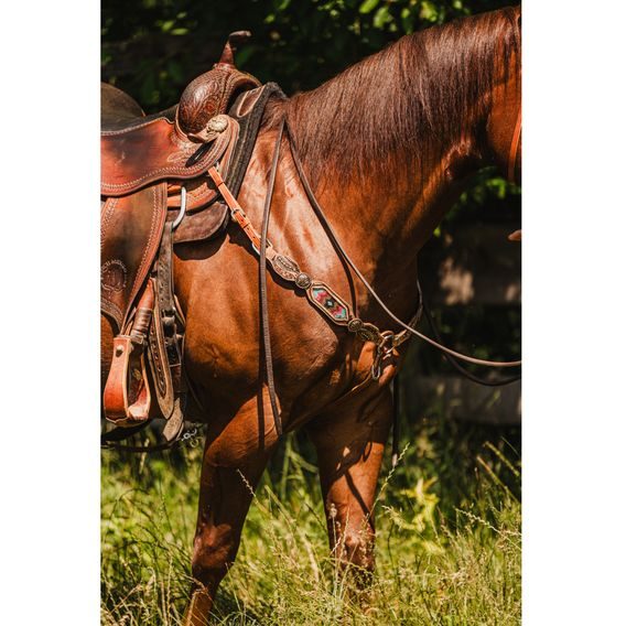 *W* Uzdečka a poprsník Cassini Ingi