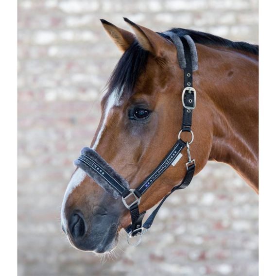 Ohlávka s beránkem W Elegant KOLEKCE