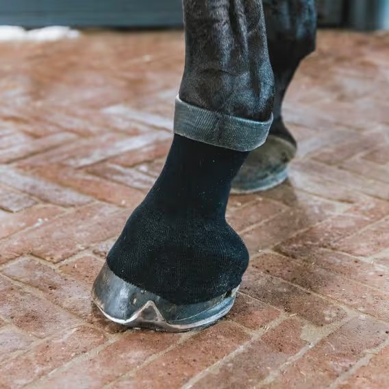 Kentucky Tendon Grip Gel Sock