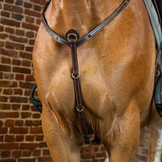Poprsník Dy'on Breastplate DY06A