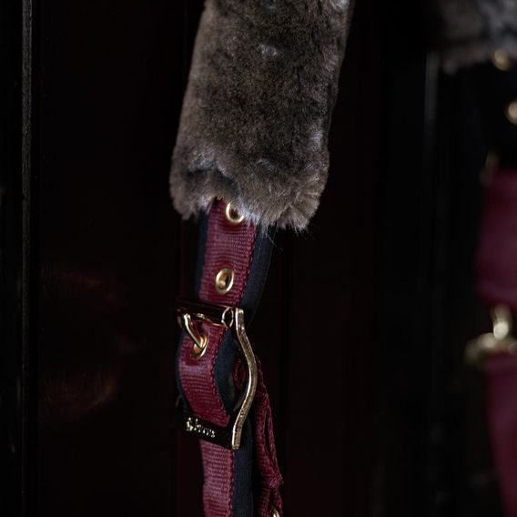 Ohlávka Bucas Show-Line