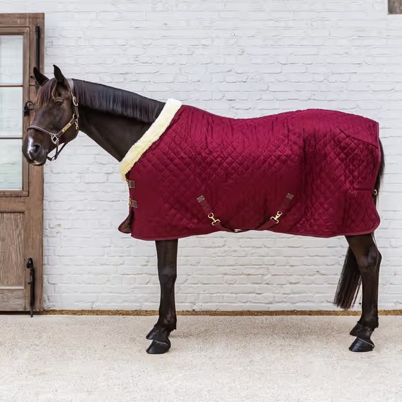 Deka termo Kentucky Show Rug stájová 160g