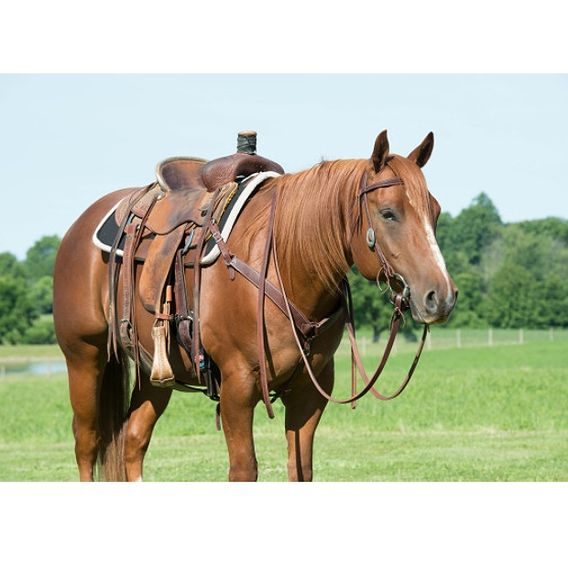 *W* Poprsník westernový Weaver Work Tack