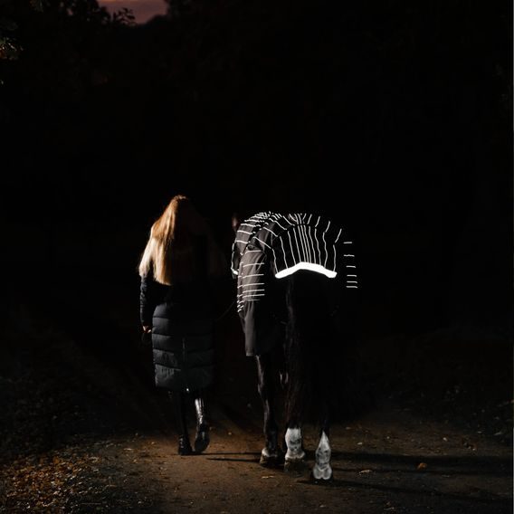 Deka výběhová Horseware Amigo 1200D FieldSafe Reflection Plus 50g