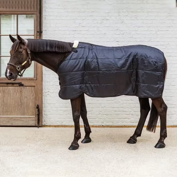 Deka Kentucky Comfort Liner 100g