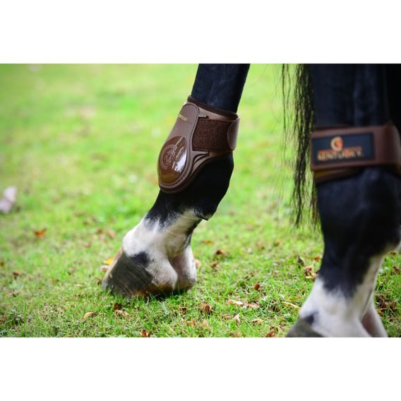 Strouhačky Kentucky Young 88299