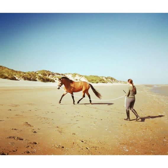 F.R.A. Flinn working line 820 cm