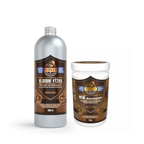 Topvet sada kloubní výživa Artroregen 1 l + MSM 800 g AKCE