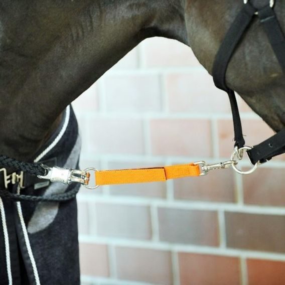 Bezpečnostní spojka k úvazu Equest