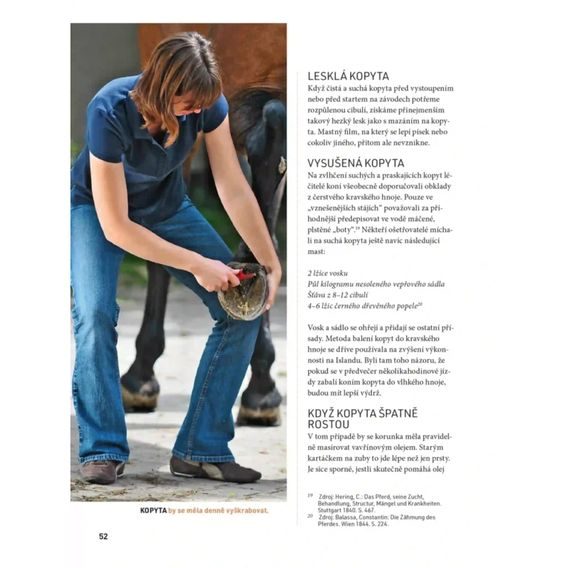 Publ Gohl Moudrost starých štolbů