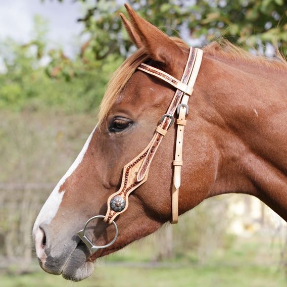*W* Uzdečka westernová Cassini Feather