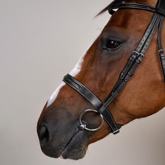 Uzdečka Dy'on Cavesson Hunter Noseband USKOAK