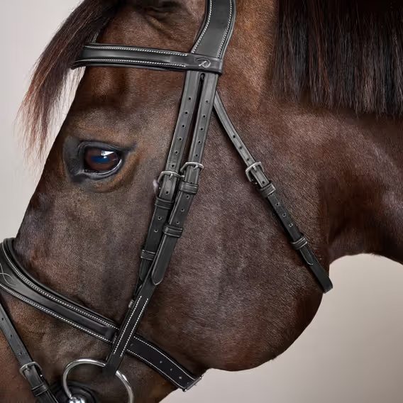 Uzdečka Dy'on Anatomic Flash Noseband USABAB