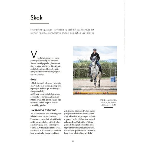 Publ Wittmann Working Equitation