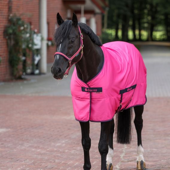 Deka lehká Bucas Freedom Twill sheet stájová Kolekce 2024