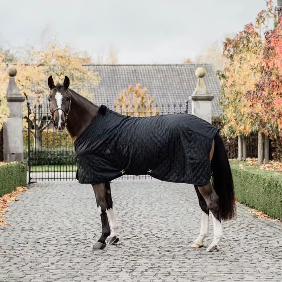 Deka lehká Kentucky Stable Rug 0g