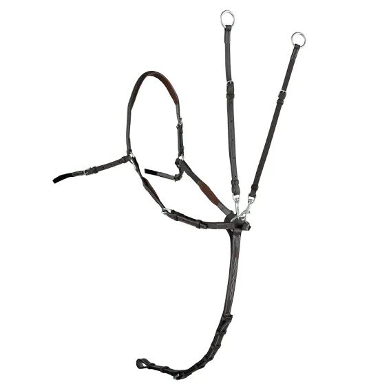 Poprsník CWD CC11HSPM Sport Color Raised