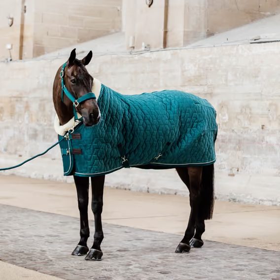Deka stájová termo Kentucky Show rug Velvet 150g/160g