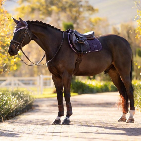 Podsedlová dečka Lemieux Loire Classic Juniper Kolekce 2025/26