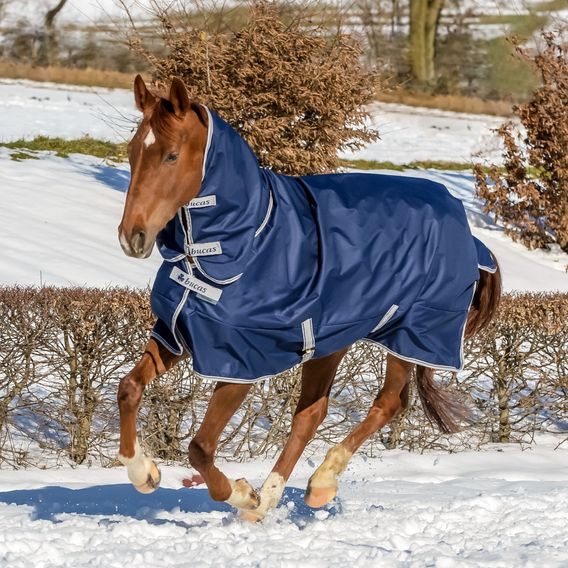 Deka termo výběhová Bucas Freedom s krkem 150g modrá KOLEKCE