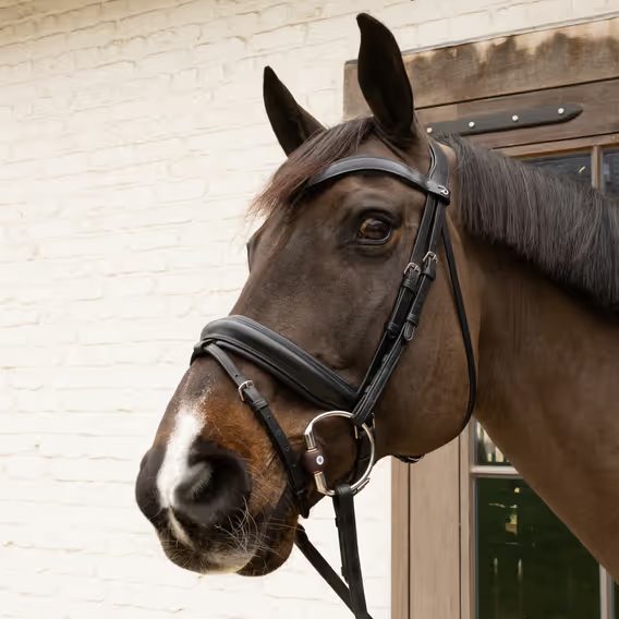 Oliva nelomená Velari by Kentucky Flex 20mm Hard