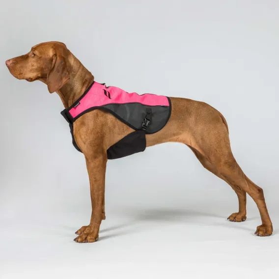 Vesta na psa Back On Track TRAKK 2.0 Visibility Dog Chest Guard 3248