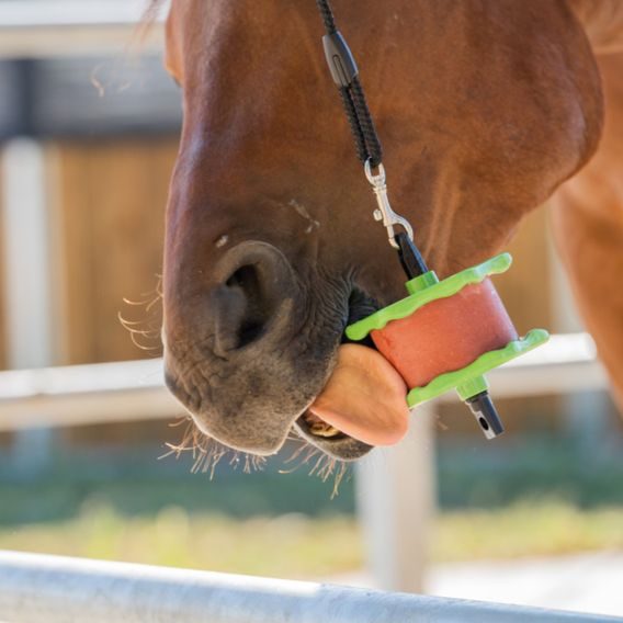 Koňské lízátko Lolly Lick 750g