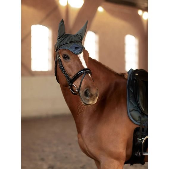 Čabraka na uši Equestrian Stockholm Avenue green Kolekce 2025