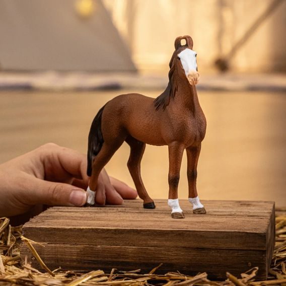 Schleich 14897 - Zvířátko - Klisna marwari