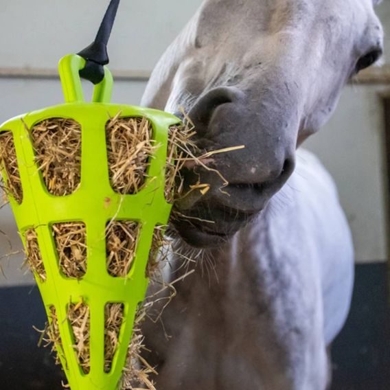 Slow Feeder Fun&Flex Carrot 22cm