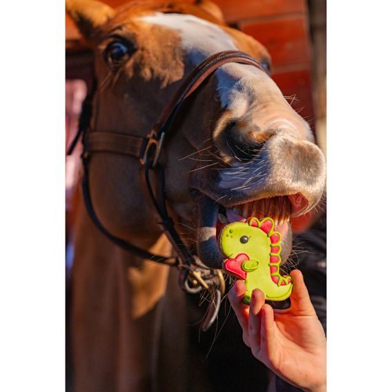 Pamlsky Candy Horse Cookies Valentine's day 30-40g