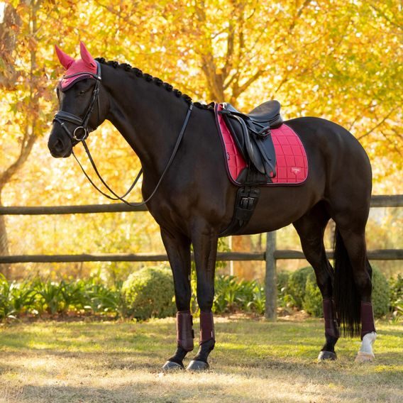 Podsedlová dečka LeMieux Loire Classic Close Contact Kolekce 2025/26