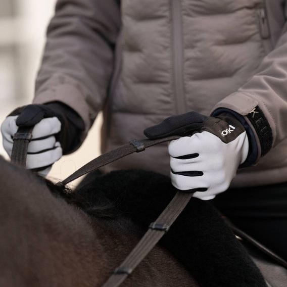 Rukavice Roeckl Wolfach zimní 01-310047