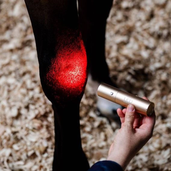 Svítilna set Horseware® LED Red Light Therapy Wand