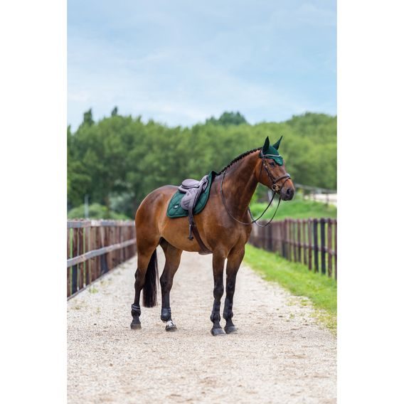 Podsedlová dečka Equestrian Stockholm Satin Sycamore Green Kolekce 2026/27