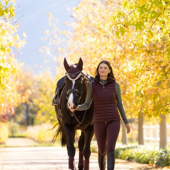 Čabraka na uši LeMieux Loire Satin Damson Kolekce 2025/26
