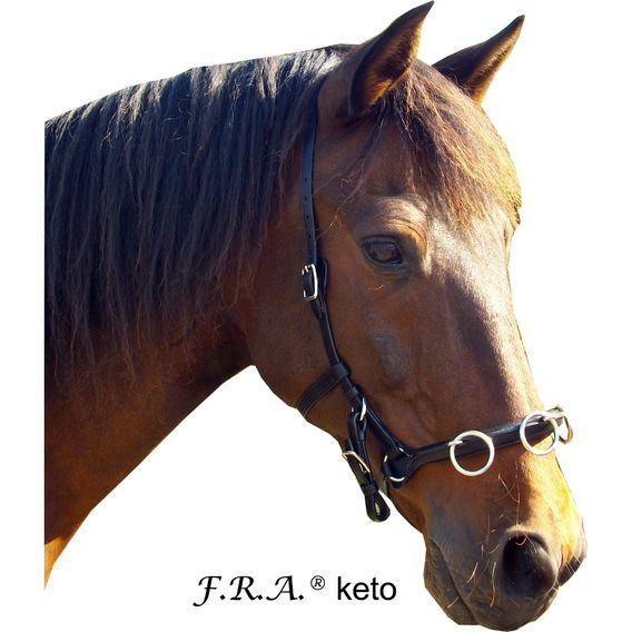 Lonžovací obnosek/uzdečka F.R.A. Keto