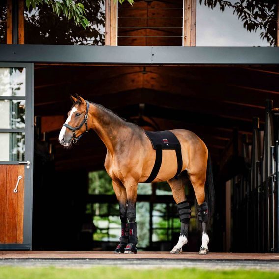 Deka Horseware® LED Red Light Therapy Pad