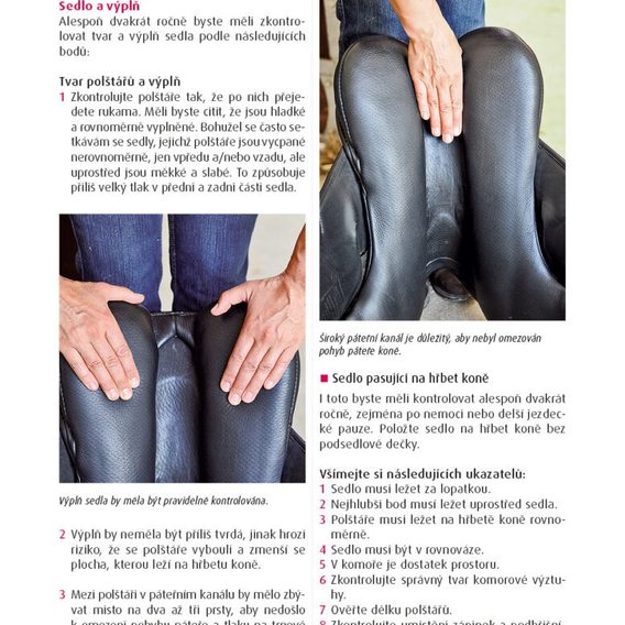 Publ Kleven Biomechanika a fyzioterapie pro koně