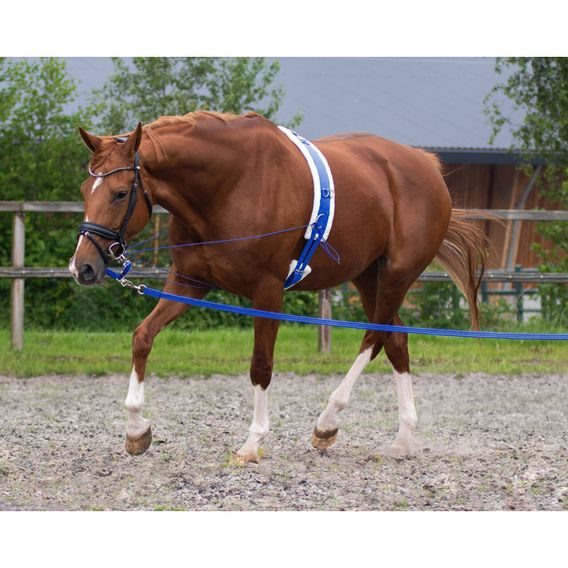 Lonžovací obřišník QHP Ontrario Luxury