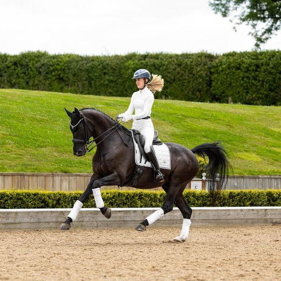 Podsedlová dečka LeMieux Loire Square DOPRODEJ